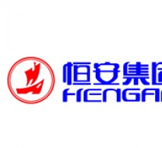 恒安集团使用擎立的伟德官网稳定版下载